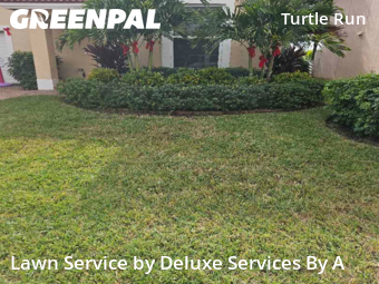 Lawn Cutting in Coral Springs, 33067, Lawn Services by Deluxe Services By A, work completed in Dec , 2025