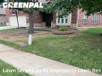 Grass Cut nearby Little Elm, TX, 