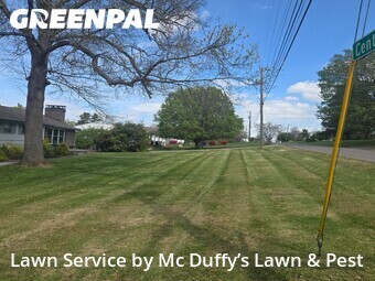 Lawn Maintenance nearby Knoxville, TN, 