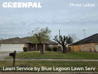Lawn Servicein Tomball,77375,Lawn Care by Blue Lagoon Lawn Serv, work completed in Jan , 2026