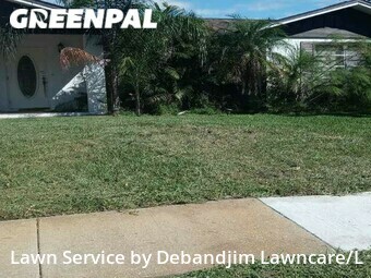 Grass Cutting nearby Palm Harbor, FL, 