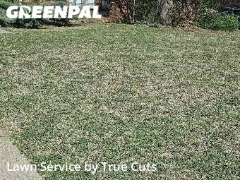 Grass Cutting nearby Oklahoma City, OK, 