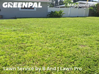Lawn Mow nearby St. Petersburg, FL, 
