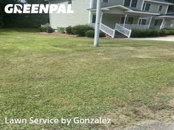 Lawn Care Service nearby Lillington, NC, 