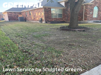 Lawn mowed in Allen, 75002