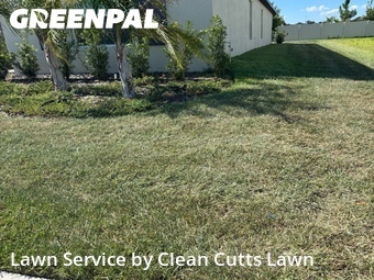 Grass Cut nearby Wimauma, FL, 