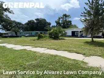 Lawn Servicein Altamonte Springs,32701,Grass Cut by Alvarez Lawn Company, work completed in Nov , 2025