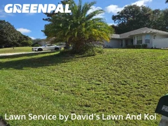 Yard Upkeep in Lady Lake, 32159, Yard Care by David's Lawn And Koi, work completed in Dec , 2025