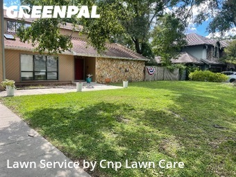 Lawn Cut nearby Temple Terrace, FL, 