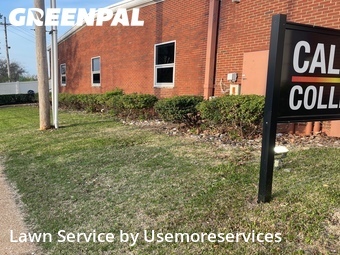 Yard Cutting nearby St. Louis, MO, 