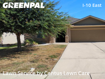 Lawn Mowing nearby Converse, TX, 
