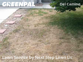 Lawn Maintenance nearby Longmont, CO, 