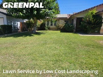 Work completed by grass-cutting-businesses-in-Fresno-CA