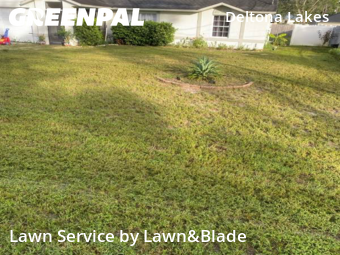 Grass Cutting nearby Deltona, FL, 