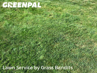 Lawn Mowing Service nearby Billings, MT, 