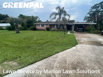 Yard Cutting nearby Belleview, FL, 