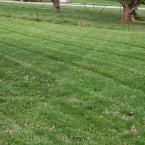 Lawn Mowing Contractor in Springfield, MO, 65804