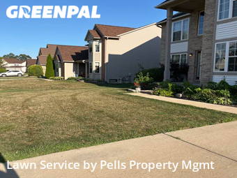 Yard Cutting nearby Belleville, MI, 