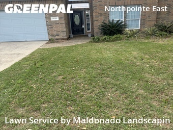 Grass Cut nearby Tomball, TX, 