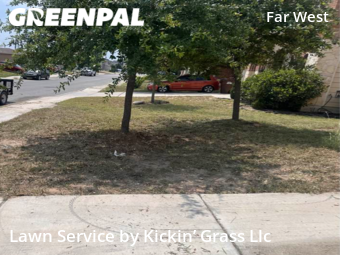 Yard Cutting nearby San Antonio, TX, 