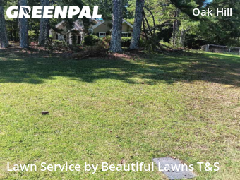 Lawn Mowing nearby Covington, GA, 