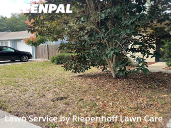 Lawn Mowing nearby Palm Harbor, FL, 