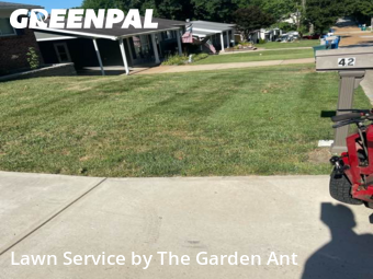 Lawn Cut nearby Manchester, MO, 