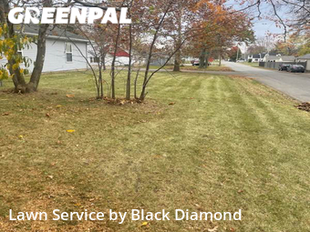 Lawn Care nearby Fort Wayne, IN, 