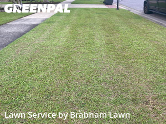 Lawn Mow nearby Geismar, LA, 