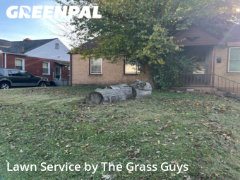Yard Mowing nearby Granite City, IL, 