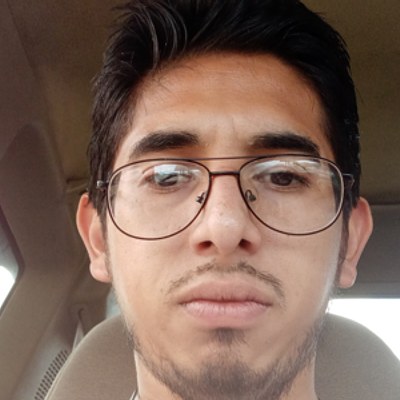 Greenleaf Lanscaping - Leaf removal service in Angleton, TX