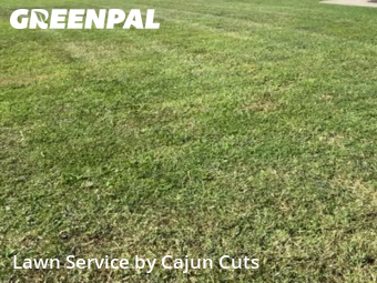 Lawn Mowing nearby Murfreesboro, TN, 