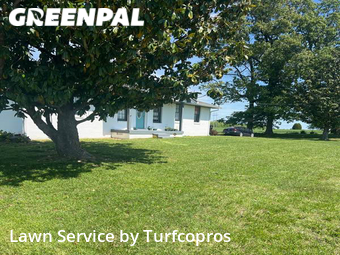 Grass Cutting nearby Springfield, TN, 