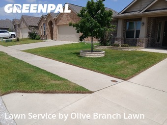 Yard Cutting nearby Fort Worth, TX, 