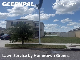 Lawn Cutting nearby Wesley Chapel, FL, 