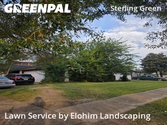 Grass Cutting nearby Houston, TX, 