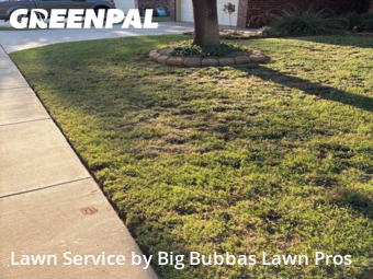 Grass Cut nearby Lubbock, TX, 