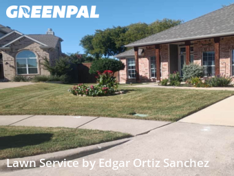 Lawn Servicein Wylie,75098,Lawn Mowing Service by Edgar Ortiz Sanchez, work completed in Nov , 2025