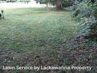 Yard Cutting nearby Dickson City, PA, 