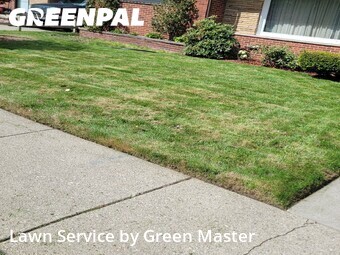 Grass Cut nearby Redford Township, MI, 