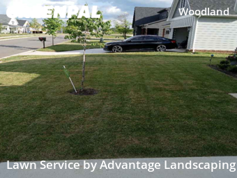 Grass Cut nearby Lynchburg, VA, 