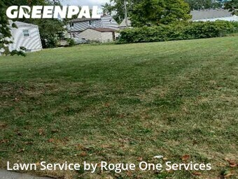 Grass Cut nearby Melvindale, MI, 