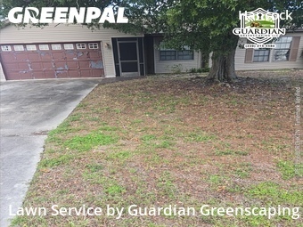 Grass Cut nearby Cape Coral, FL, 