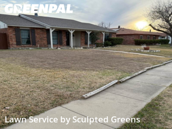 Lawn Carein The Colony,75056,Lawn Cutting by Sculpted Greens , work completed in Jan , 2026