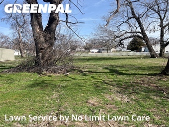 Yard Mowing nearby Granite City, IL, 