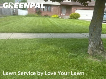 Lawn Cut nearby Buffalo, NY, 