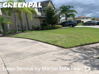 Lawn Mowing nearby Wesley Chapel, FL, 
