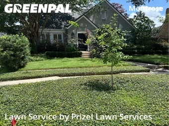 Lawn Cuttingin Houston,77098,Yard Mowing by Prizel Lawn Services, work completed in Jun , 2026