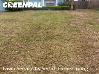 Lawn Mowing Service nearby Clermont, FL, 