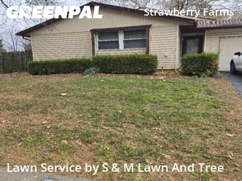 Property Maintenance in Columbus, 43230, Yard Care by S & M Lawn And Tree, work completed in Nov , 2025